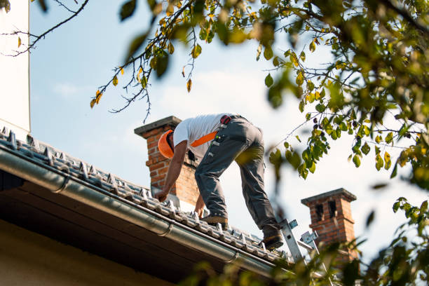Best Chimney Flashing Repair  in San Pablo, NM