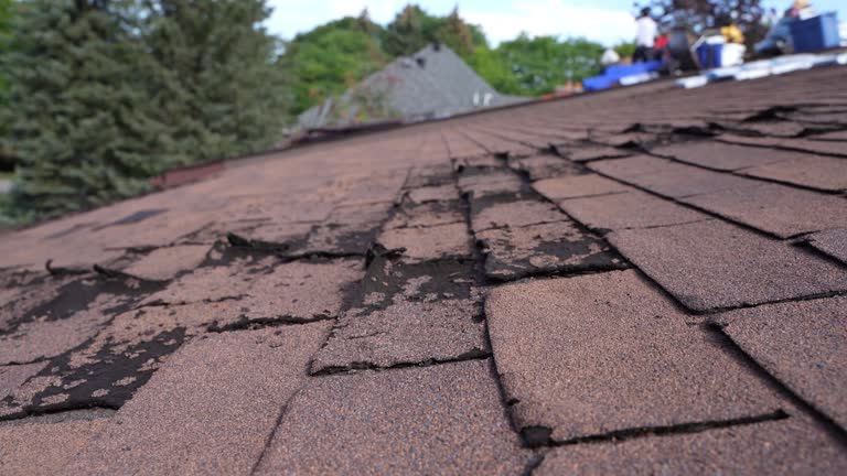 Best Storm Damage Roof Repair  in San Pablo, NM