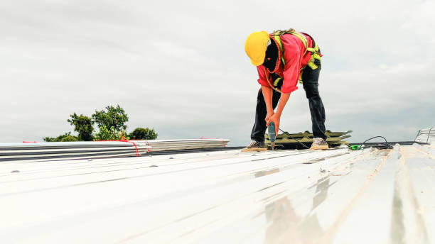Best Steel Roofing  in San Pablo, NM