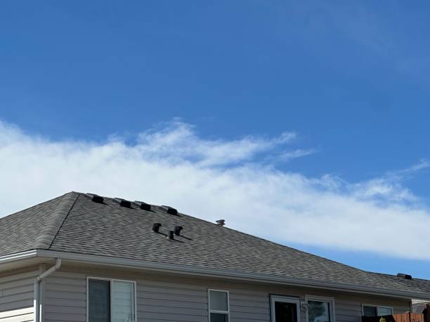 Best Rubber Roofing (EPDM, TPO)  in San Pablo, NM